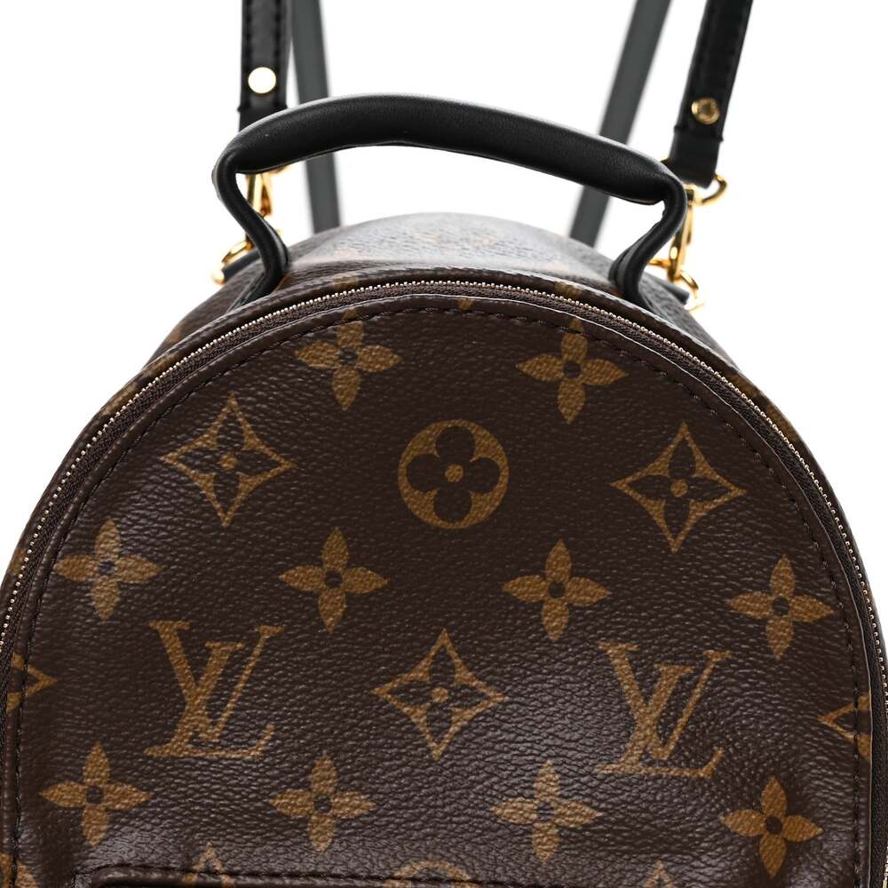 Louis Vuitton Palm Springs Backpack #262334L19B - Picture 7 of 10